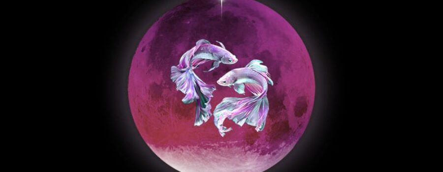 A Pisces Full Moon Eclipse of Idealism, Possibility, and Contraction