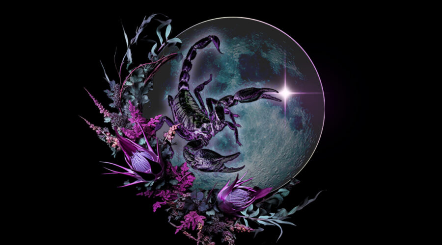 Scorpio New Moon Meditation: Embracing Depth and Transformation