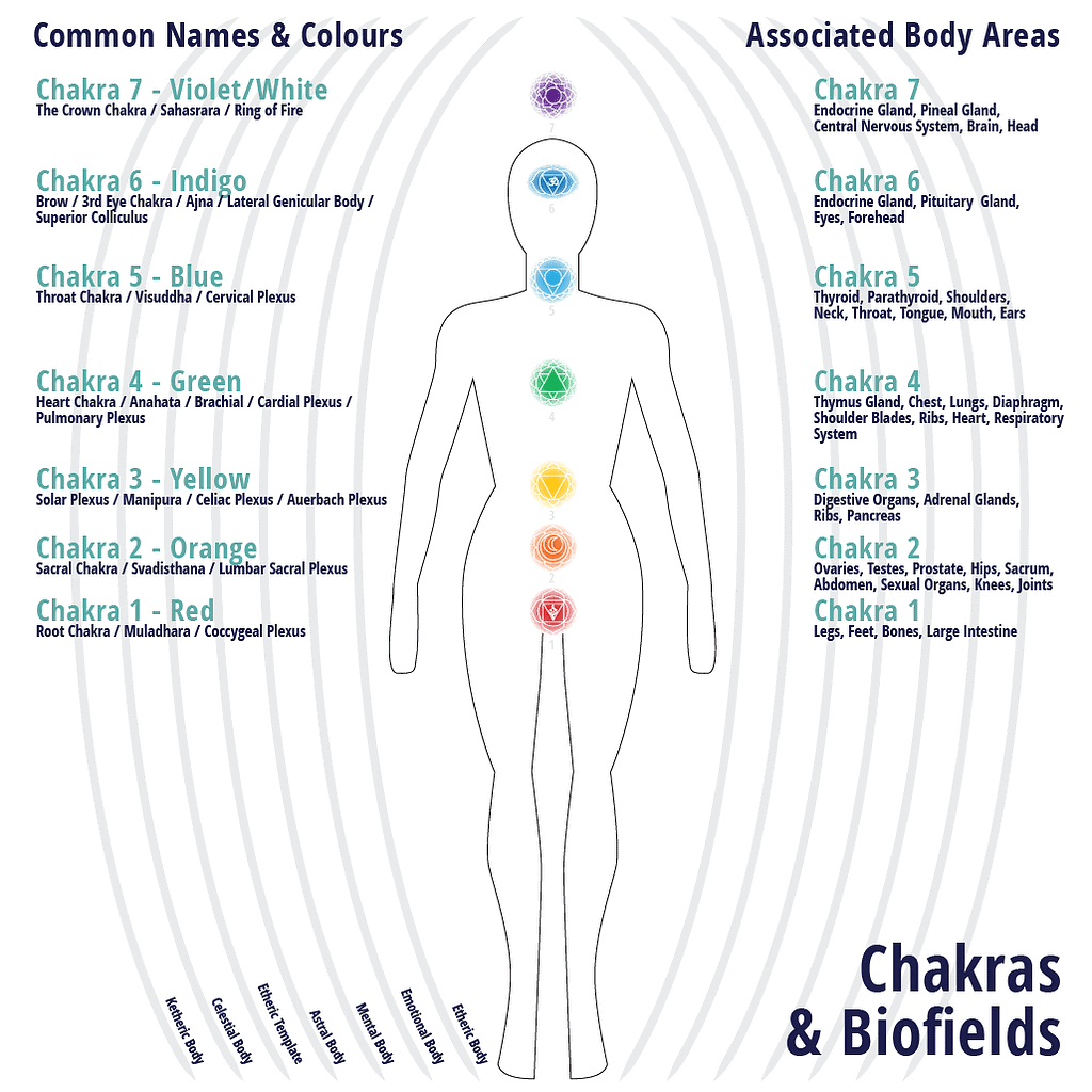 Chakras & Biofield in Reiki practice