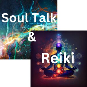 soul talk and Reiki